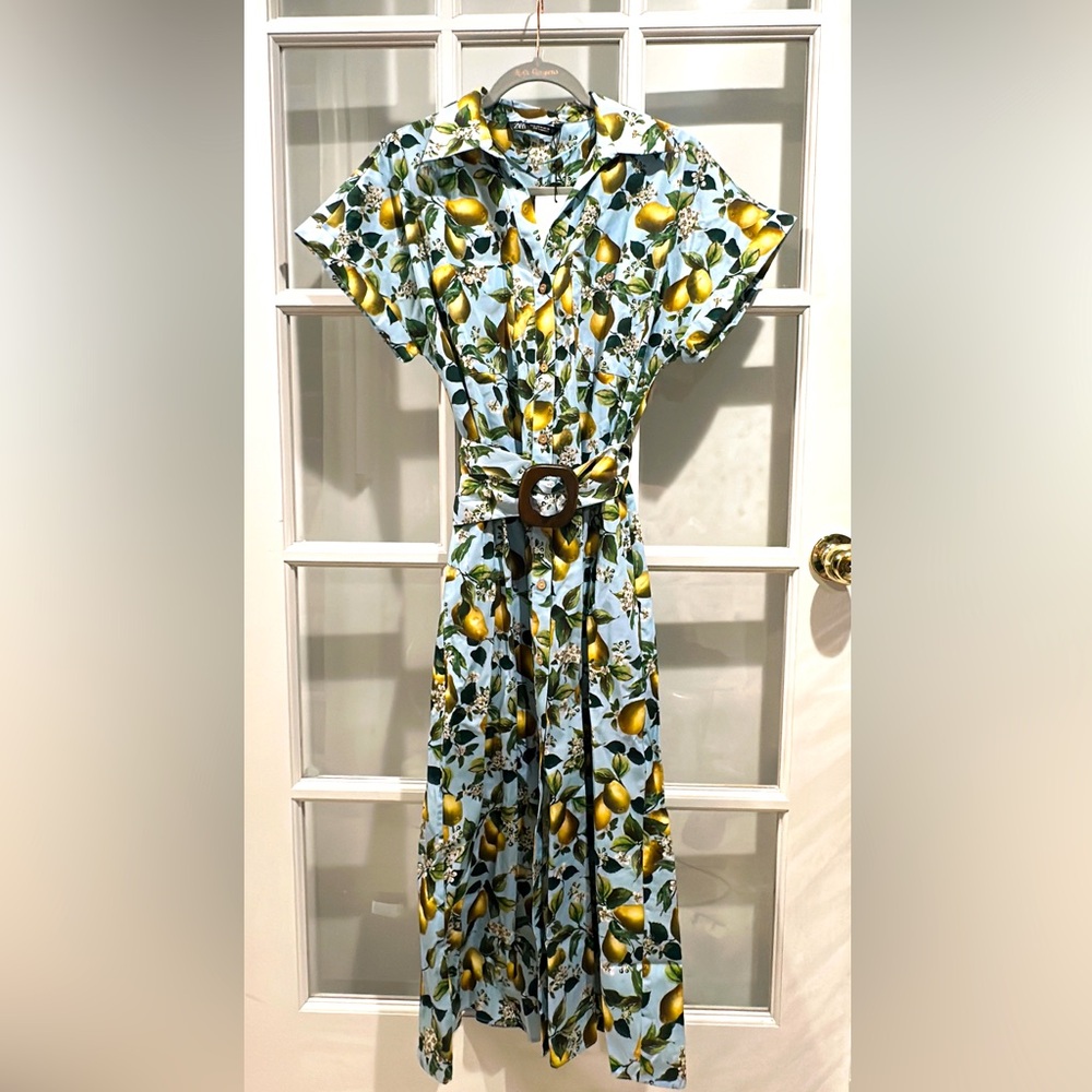 💙ZARA💙 DOLMAN SLV NOVITY BELT SHIRT DRESS